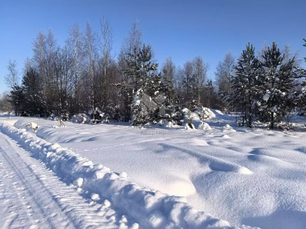 Участок в Ленинградская область, Всеволожский район, Щегловское с/пос, ... - Фото 1