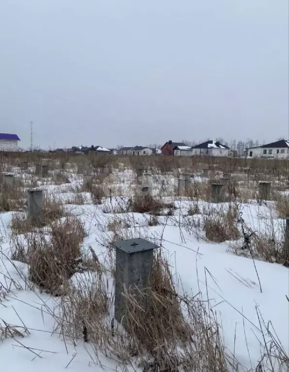 Участок в Белгородская область, Новый Оскол ул. Кедровая (15.0 сот.) - Фото 1