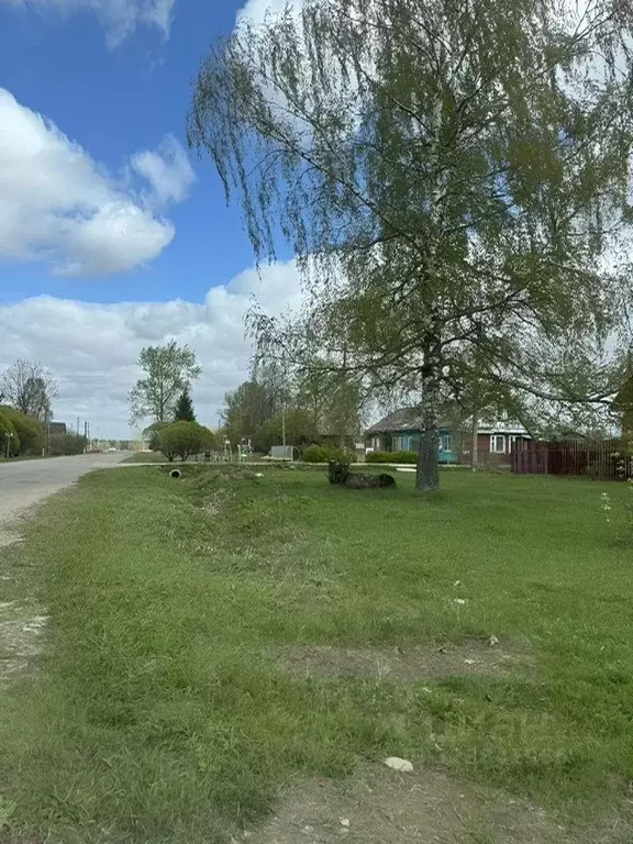 Участок в Владимирская область, Кольчугинский муниципальный округ, с. ... - Фото 1