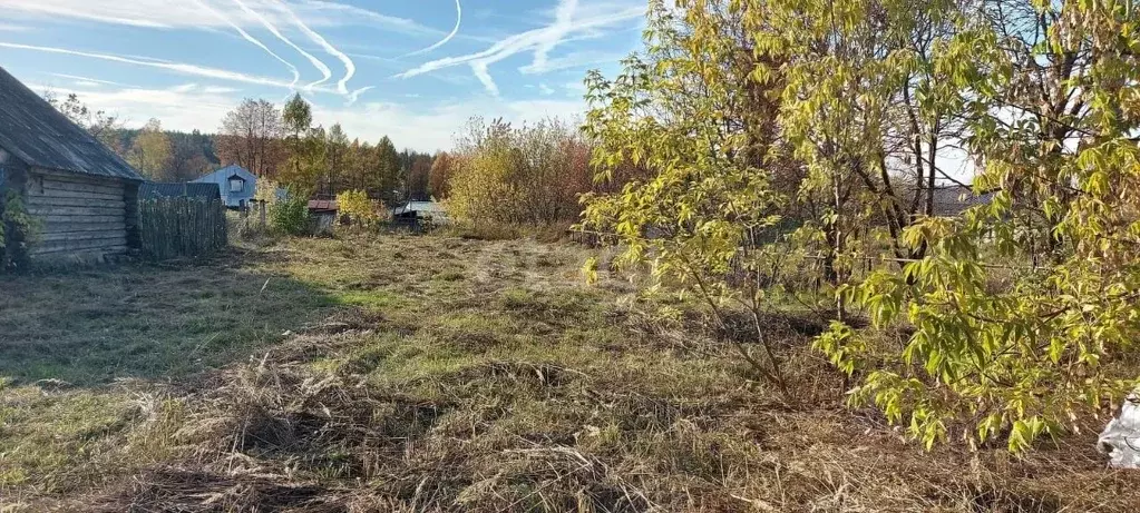 Участок в Владимирская область, Ковровский муниципальный округ, пос. ... - Фото 1