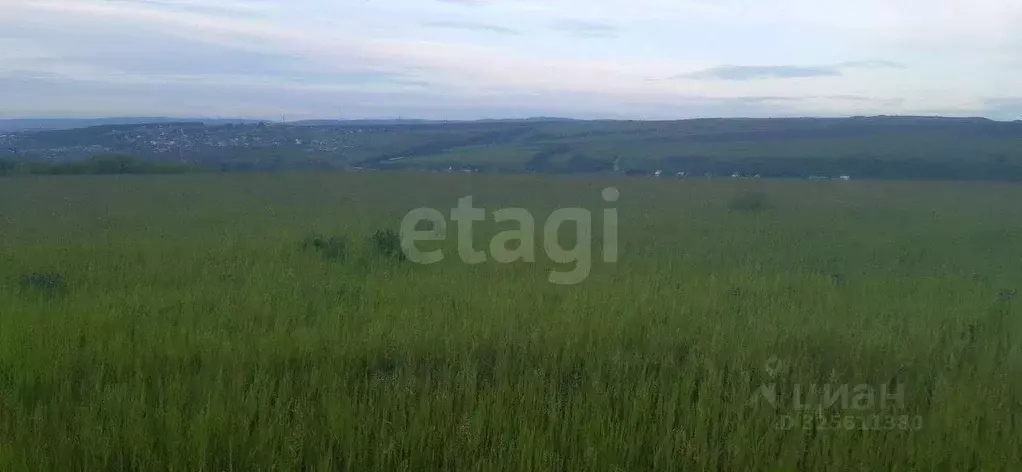 Участок в Красноярский край, Абанский муниципальный округ, с. ... - Фото 1