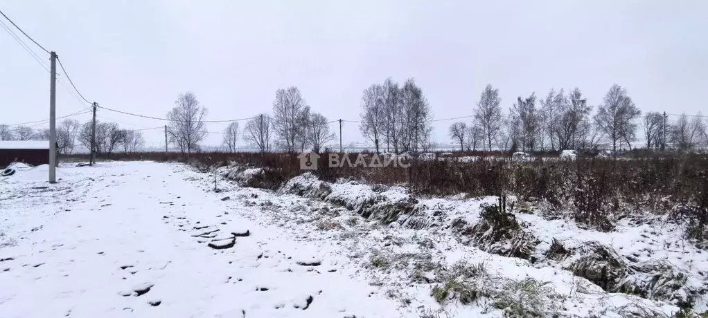 Участок в Владимирская область, Суздальский район, Боголюбовское ... - Фото 1