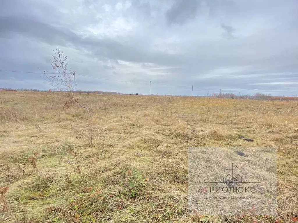 Участок в Челябинская область, Сосновский район, Саккуловское с/пос, ... - Фото 1
