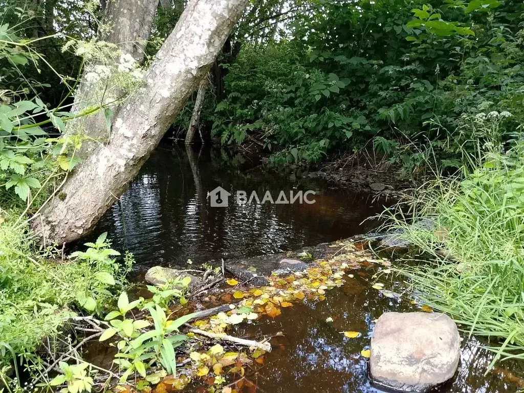 Дом в Ленинградская область, Кировский район, Шумское с/пос, Живой ... - Фото 1
