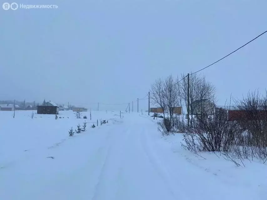 Участок в Волосовский район, Бегуницкое сельское поселение, деревня ... - Фото 0