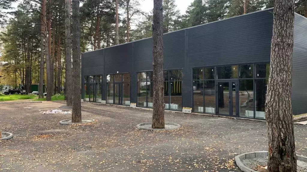 Торговая площадь в Новосибирская область, Новосибирский район, с. ... - Фото 2