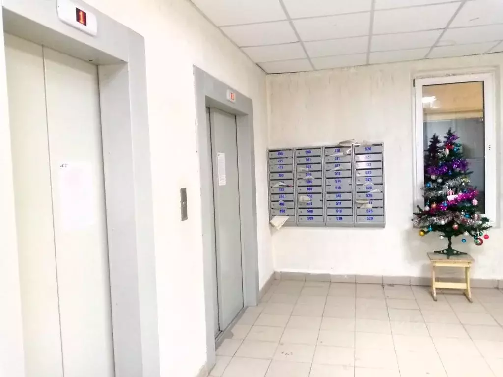 2-к кв. Новосибирская область, Новосибирск Тульская ул., 80 (68.8 м) - Фото 1