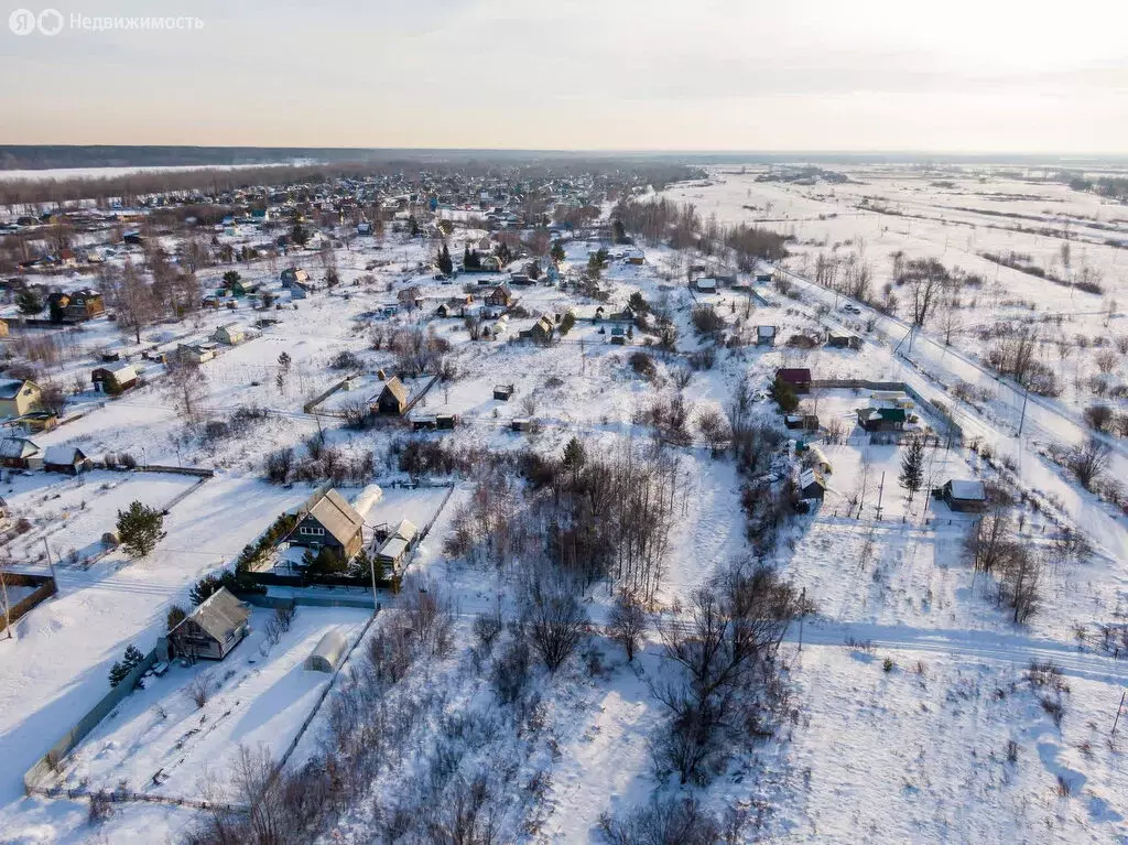 Участок в Колыванский район, СНТ Ежевичка (12 м) - Фото 0