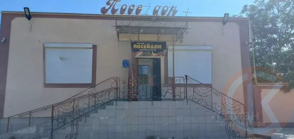 Торговая площадь в Крым, Евпатория городской округ, Заозерное пгт ул. ... - Фото 0