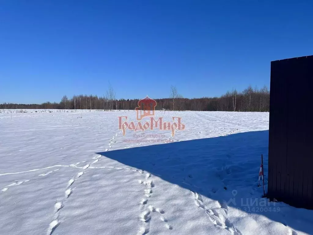 Участок в Московская область, Сергиево-Посадский городской округ, д. ... - Фото 1