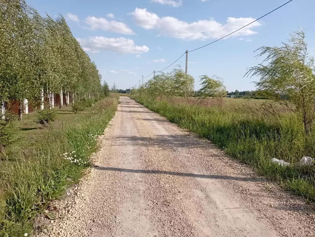 участок в орловская область, орловский район, д. грачевка ул. . - Фото 1