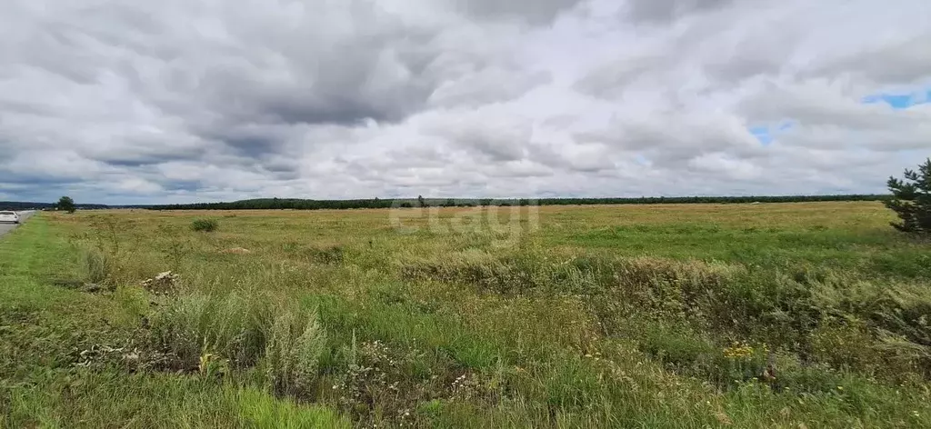 Участок в Свердловская область, Белоярский пгт  (1160.0 сот.) - Фото 0