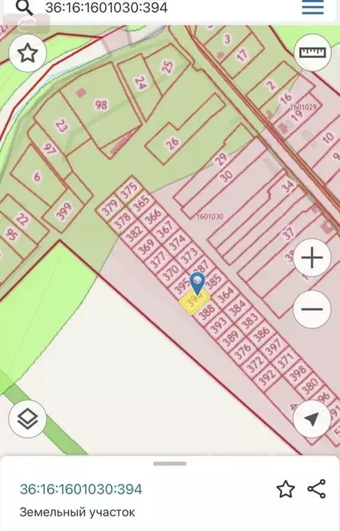 Участок в Воронежская область, Новоусманский район, с. Орлово ул. ... - Фото 2