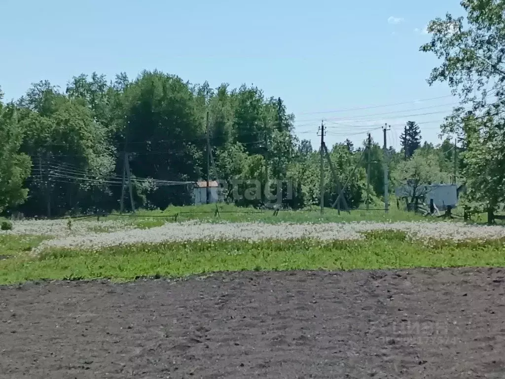 Участок в Томская область, Томский район, д. Барабинка Кедровая ул. ... - Фото 1