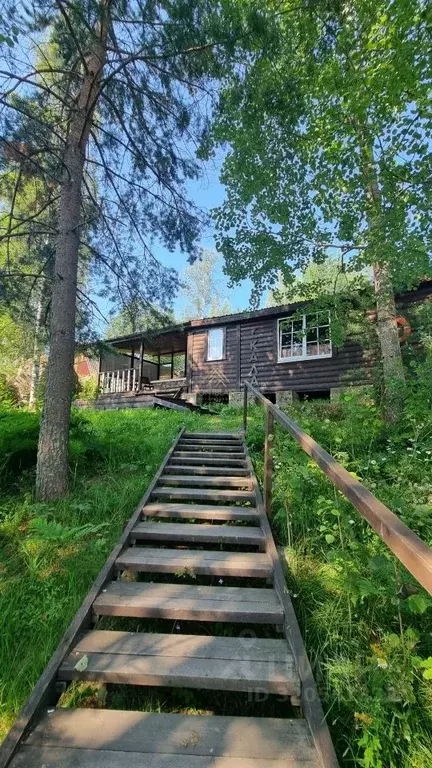 Участок в Ленинградская область, Выборгский район, Каменногорское ... - Фото 1