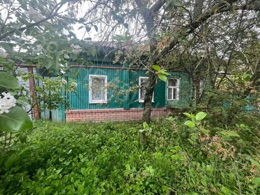 Дом в Саратовская область, Балашов Республиканская ул., 35 (43 м) - Фото 1
