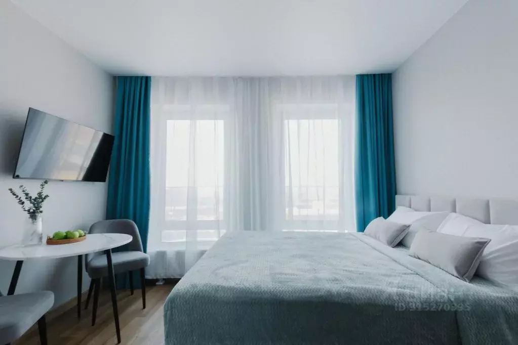 1-к кв. Новосибирская область, Новосибирск ул. Ленина, 85 (19.0 м) - Фото 1