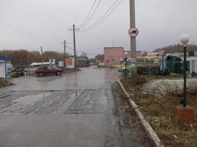 Торговая площадь в Омская область, Омск ул. 2-я Солнечная, 28 (12 м) - Фото 2