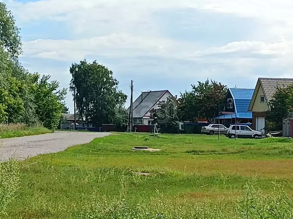 Участок в Алтайский край, с. Романово ул. Фрунзенская, 77 (36.2 сот.) - Фото 2