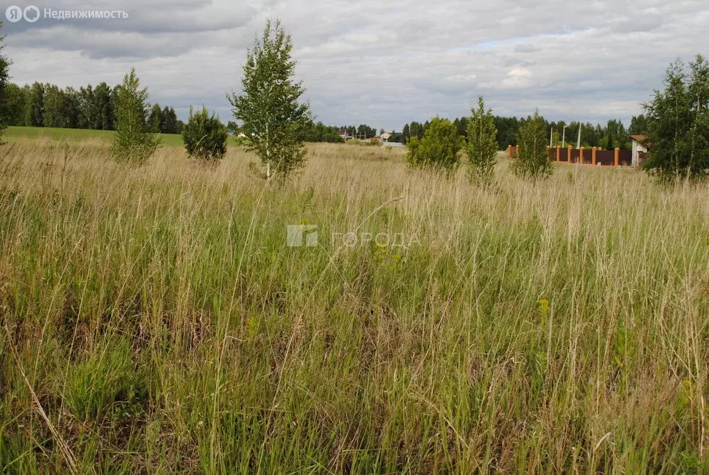 Участок в Садовый, Областная улица, 6 (10 м) - Фото 1