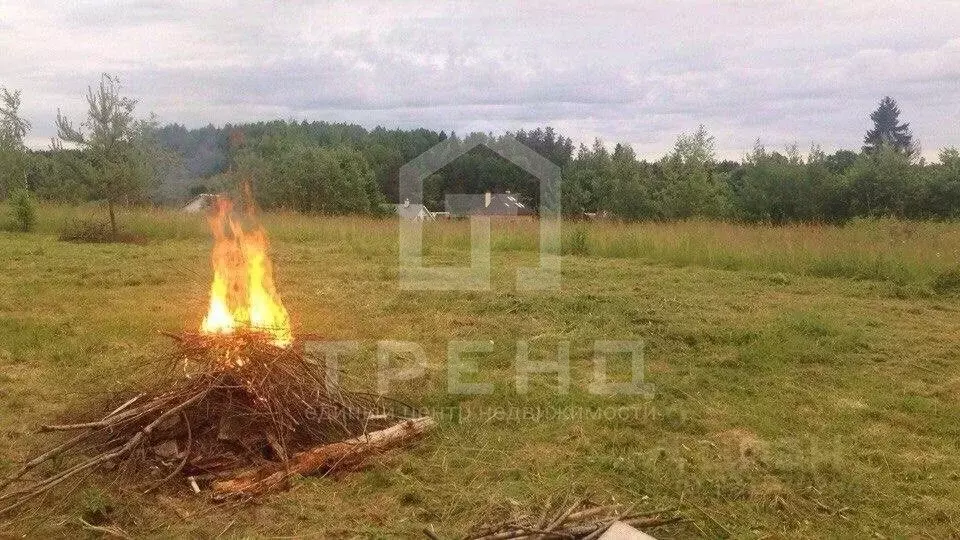 Участок в Ленинградская область, Лужский район, Толмачевское городское ... - Фото 0