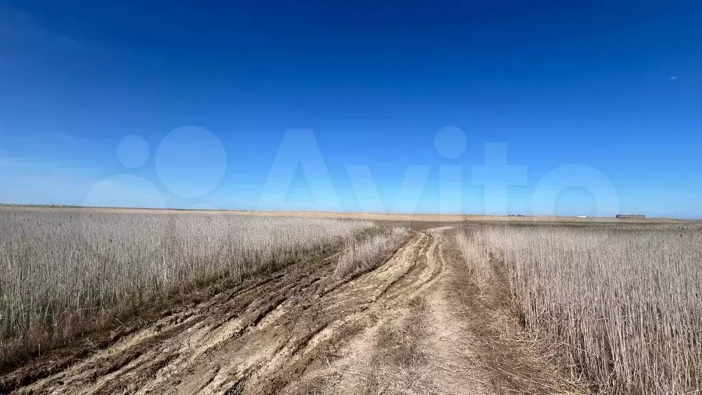 Участок 10 сот. (ИЖС) - Фото 1