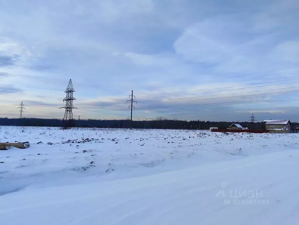 Участок в Новгородская область, Новгородский район, Ермолинское с/пос, ... - Фото 1