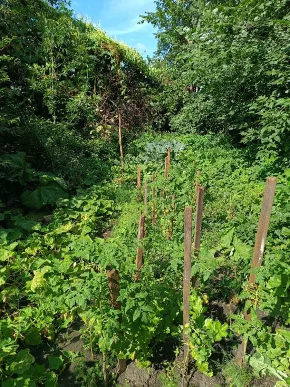 Участок в Омская область, Омск ул. 8-я Северная (6.0 сот.) - Фото 2