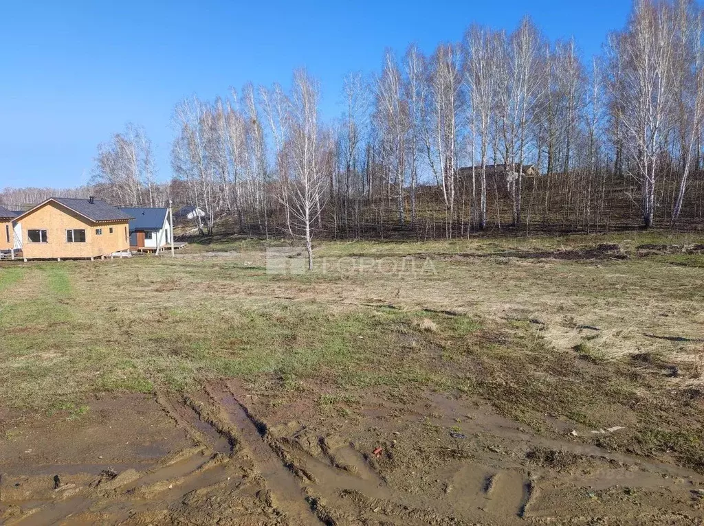 Участок в Новосибирская область, Новосибирский район, Раздольненский ... - Фото 1