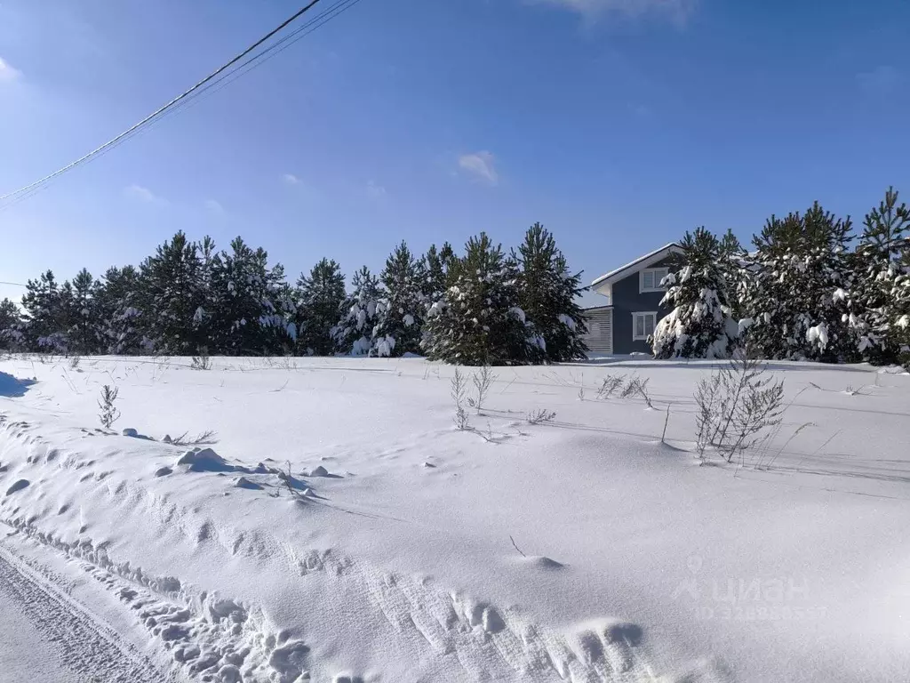 Участок в Московская область, Раменский муниципальный округ, Лесная ... - Фото 1