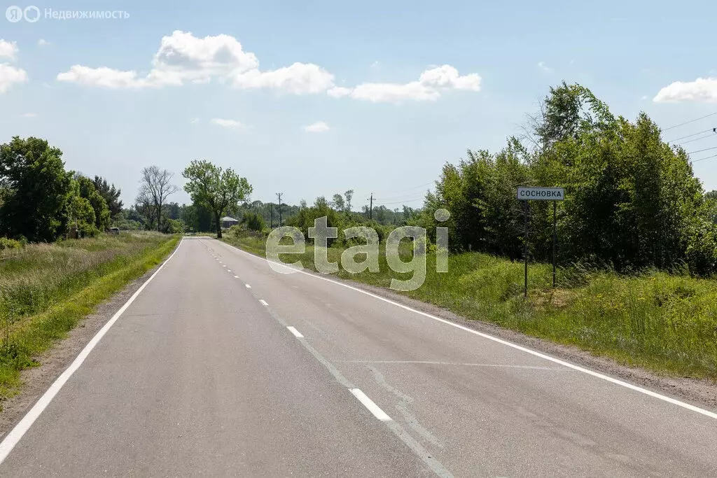 Участок в посёлок Сосновка, Лесная улица (9.8 м) - Фото 1