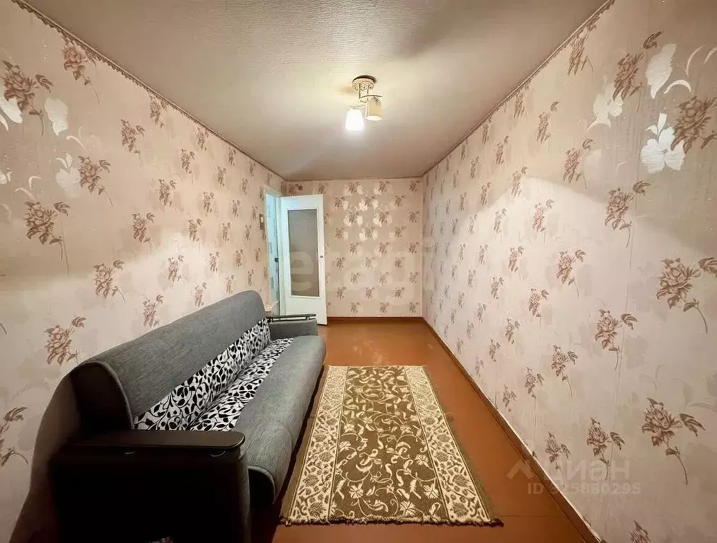 1-к кв. Владимирская область, Петушки ул. Строителей, 6 (27.2 м) - Фото 2