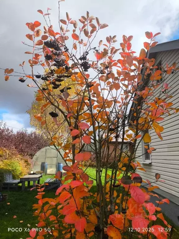 Дом в Владимирская область, Струнино г. Александровский муниципальный ... - Фото 2