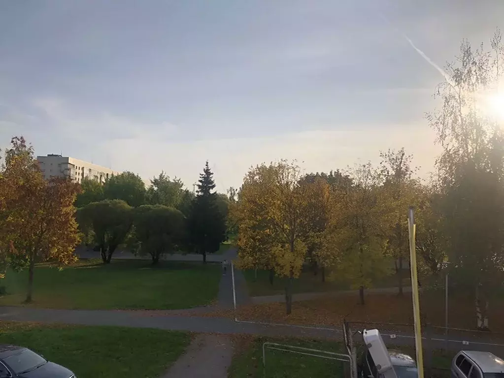 Помещение свободного назначения в Ленинградская область, Кириши ул. ... - Фото 1