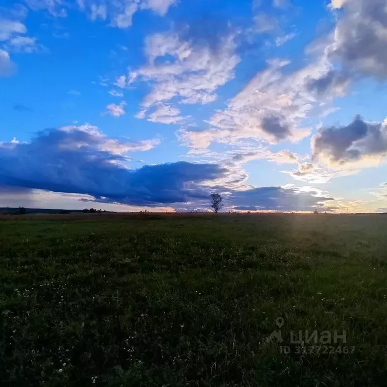 Участок в Мордовия, Лямбирский район, Берсеневское с/пос, д. Старая ... - Фото 1