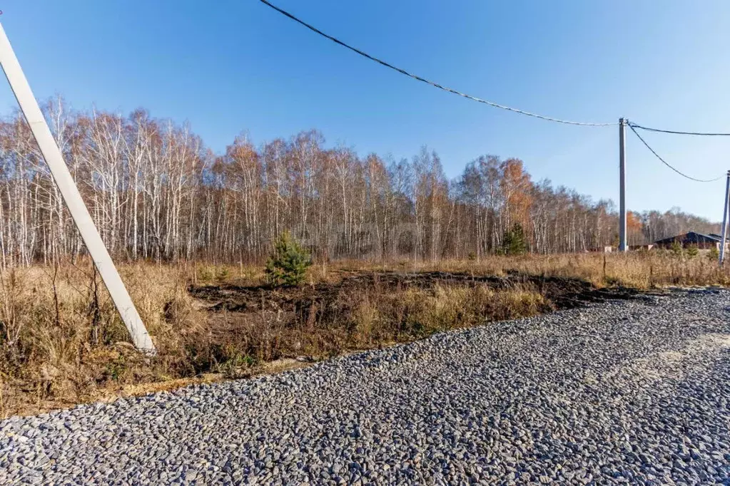 Участок в Тюменская область, Тюменский муниципальный округ, д. Елань  ... - Фото 1
