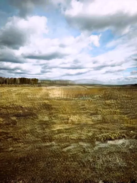 Участок в Красноярский край, Емельяново городское поселение, ... - Фото 1