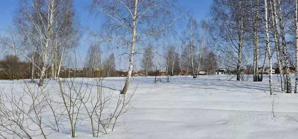 Участок в Московская область, Луховицы  (11.5 сот.) - Фото 2
