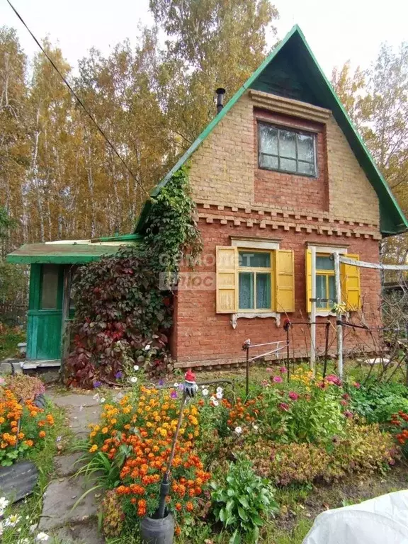 Дом в Омская область, Омск СОСН Мир тер., аллея 10-я (25 м) - Фото 2