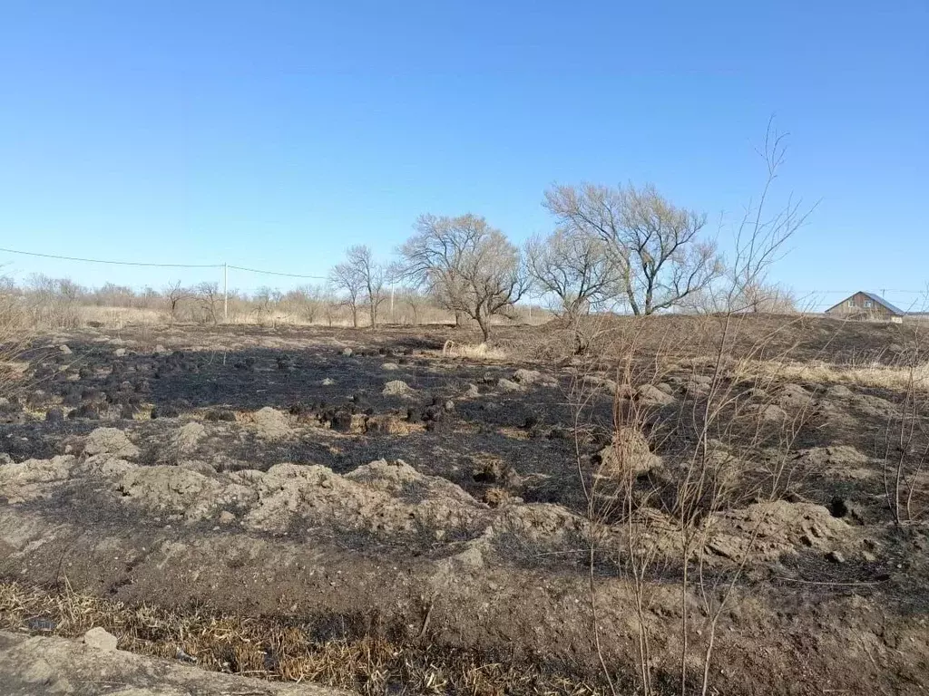 Участок в Приморский край, Уссурийский городской округ, с. Воздвиженка ... - Фото 0