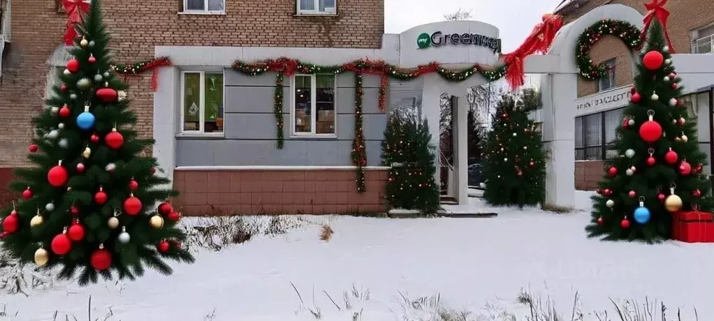 Помещение свободного назначения в Московская область, Электросталь ул. ... - Фото 1