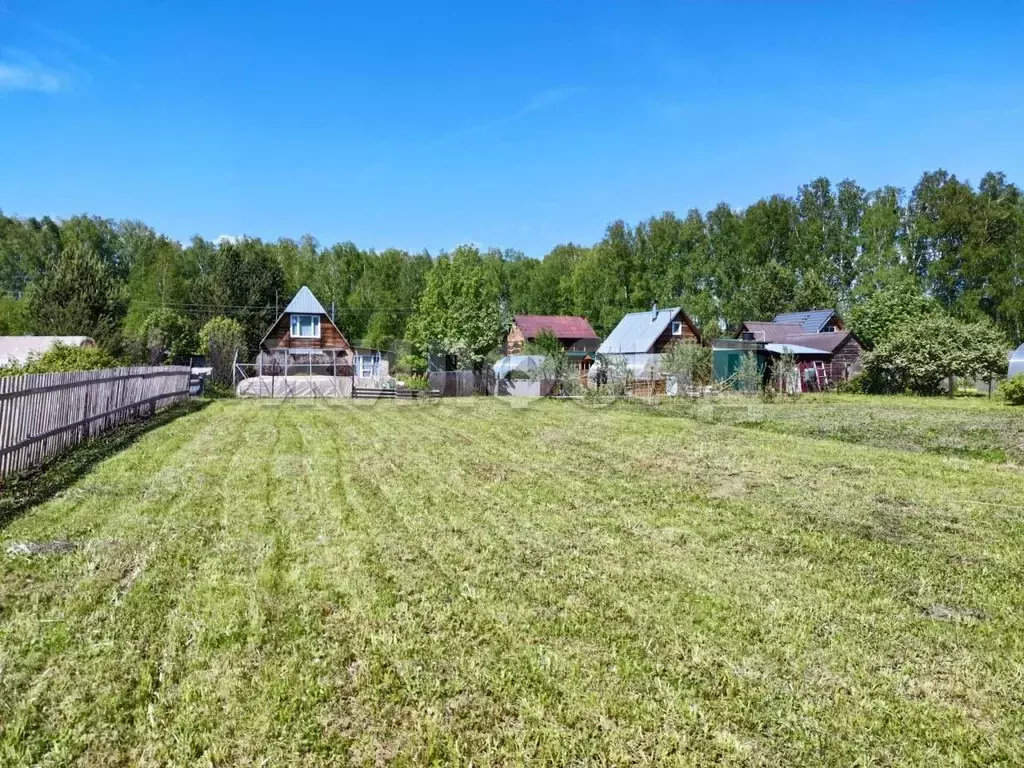 Участок в Новосибирская область, Новосибирский район, Березовский ... - Фото 2