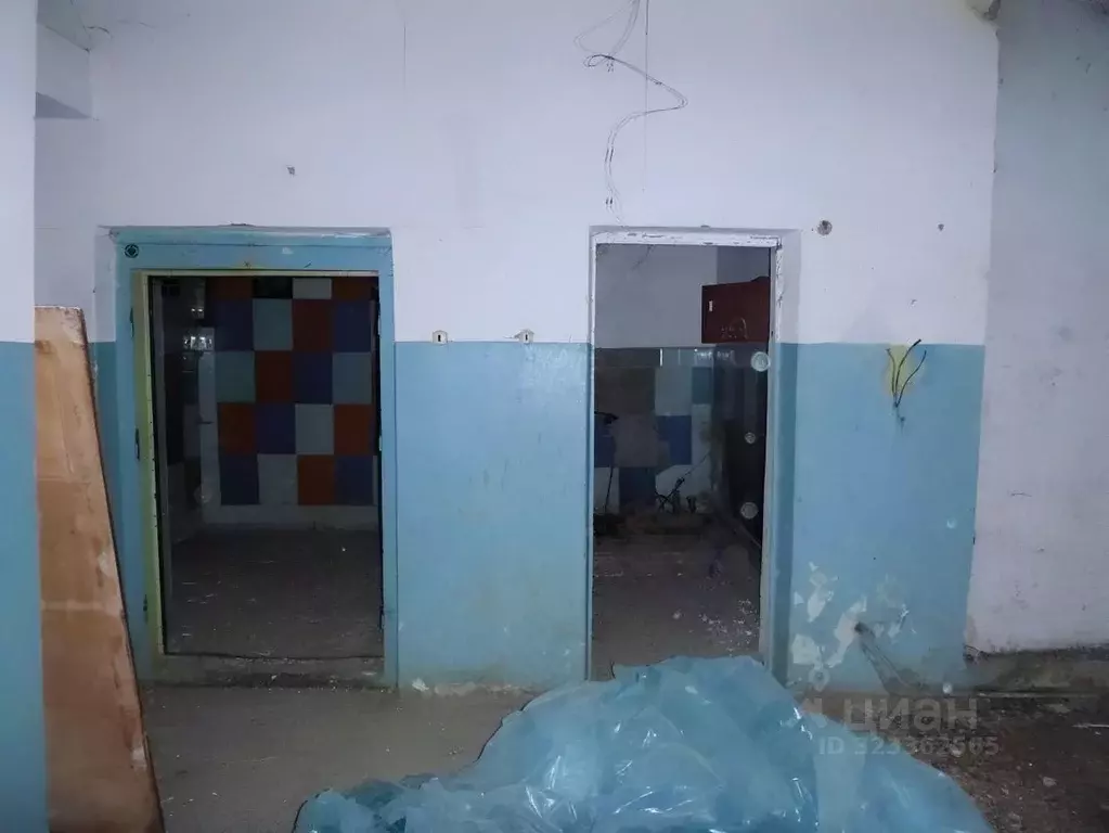 Помещение свободного назначения в Омская область, Омский район, с. ... - Фото 1