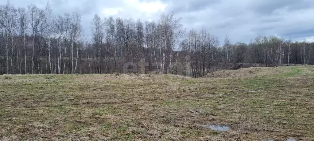 Участок в Московская область, Коломна городской округ, д. Чиликино ул. ... - Фото 1