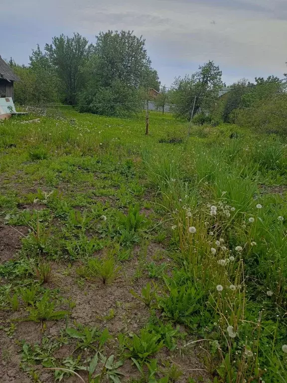 Участок в Нижегородская область, Богородский муниципальный округ, с. ... - Фото 1