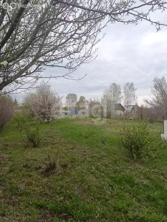 Участок в Тюменская область, Нижнетавдинский муниципальный округ, ... - Фото 2