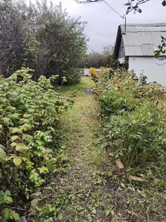 Дом в Челябинская область, Челябинск Дружба СНТ, 4-2678 (12 м) - Фото 2