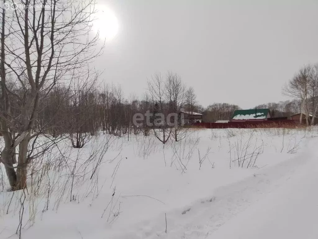 Участок в Камчатский край, межселенные территории Елизовского ... - Фото 1