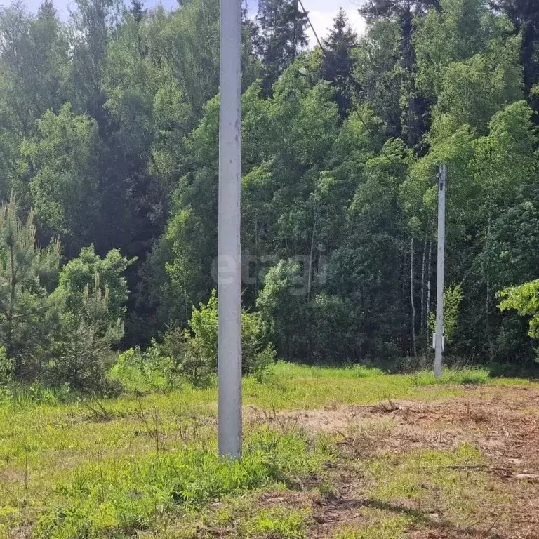 Участок в Калужская область, Боровский муниципальный округ, Совьяки ... - Фото 1