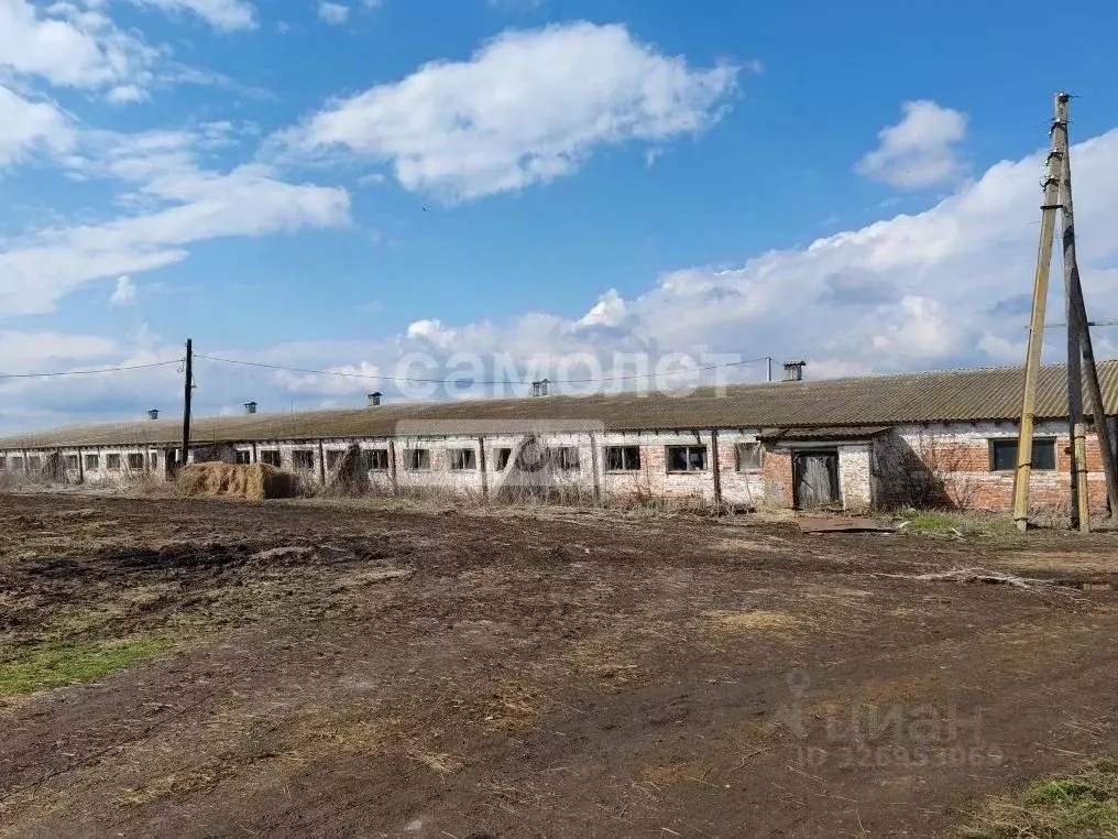 Производственное помещение в Курская область, Медвенский район, ... - Фото 2